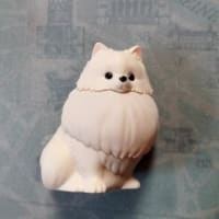 可愛いお買い物♪