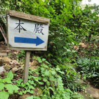 ひとり倶楽部活動開始！猛暑だけど佐助稲荷神社に御参り！