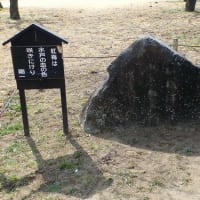 水戸の血にかかわること