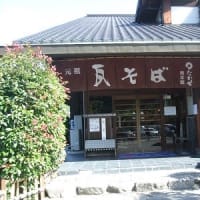 食