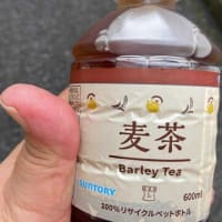 朝ウォーキングの風景。令和7年6月13日。何もしなくても咲く。