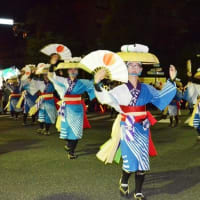 盛岡さんさ踊り２０２４ ② パレード