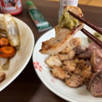 ひとりでできるもん!   22歳独身女の焼肉編　