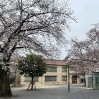 トキワ荘公園の桜