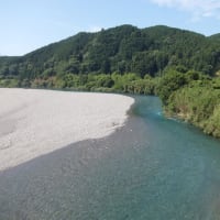 本日の海部川