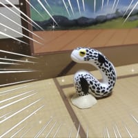 謎のラインナップ