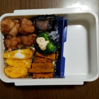 今日のお弁当と私の経済事情