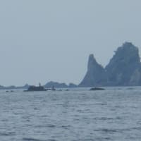 毎年恒例下流カップ