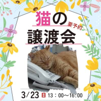 くるねこ大和