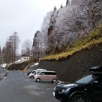 社会復帰のプロジェクト完了