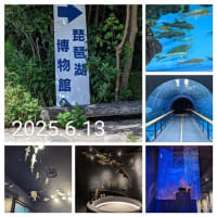 ２０２５．６・１３　琵琶湖博物館その２水族展示室