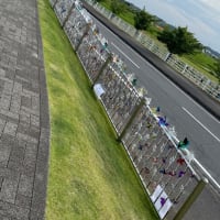 道の駅多古あじさい館のアジサイ