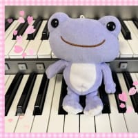 生徒さんから皆さまへ＆カエル君が沖縄へ行く