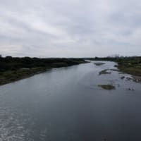 2024神奈川河川ﾎﾟﾀﾘﾝｸﾞ『玉川』①河口の戸沢橋へアプローチ