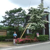 暑い一日でした