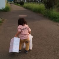 はーちゃん1才半の初めてのお手伝いでしシュ！　　           　H/30/6