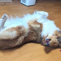 誰かな？