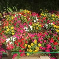 神様がいるのといないのとではどう違うのだろう？