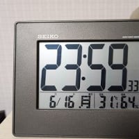 トウヒの森のマイヅルソウ