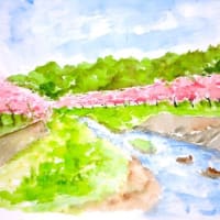 スケッチ風景画～引地川親水公園桜並木・八幡山洋館