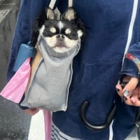 貞子？