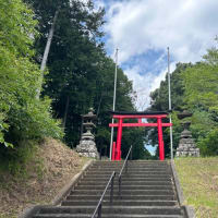 中尾八幡の大杉