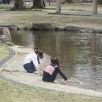 水ぬるむ名城公園