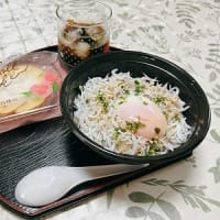 朝からしらす丼