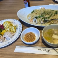 食べた物