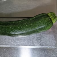 ダブル菜園とジムでの16km・・・