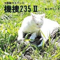天才絵師と美しき僧侶 ライジング若冲 あらすじネタバレ感想 伊藤若冲の世界 鑪選り 漫画 小説 ドラマ感想 天才絵師と美しき僧侶 ライジング若冲 あらすじネタバレ感想 伊藤若冲の世界 鑪選り 漫画 小説 ドラマ感想
