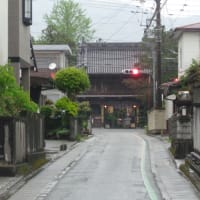 四国曼荼羅花遍路－通し打ち45日の マイウェイ　プロローグ（写真は結願の寺 大窪寺にて）