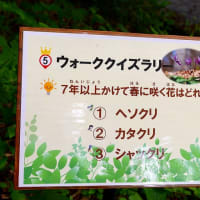 梅雨入り前に(^^)v　　～赤城自然園～
