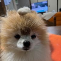 わがままなお客様
