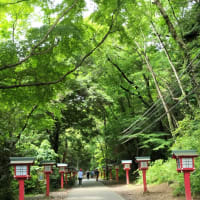 歩かないと・・・