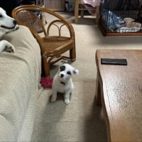ひなた保育園