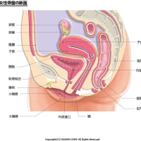 ゴタゴタ