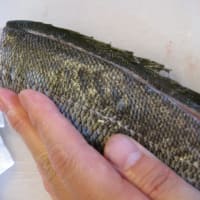 7月の旬を食べる『イサキ』 at お魚料理教室（帯解）