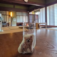 古民家カフェでまったりしました