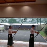 弓の素材としての櫨 その6 - 松山櫨(はぜ)復活奮闘日記 弓の素材としての櫨 その6 - 松山櫨(はぜ)復活奮闘日記