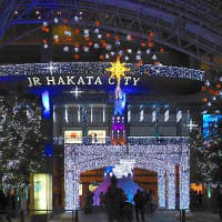 福岡・博多駅クリスマスイルミ2013