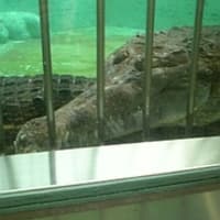 動物園に行ってきました。①