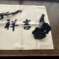 二条城　市民煎茶の会