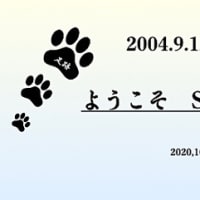 猛暑の日本が来ています