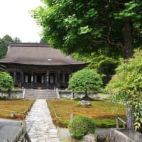 京都　青モミジ100シリーズの大原問答の勝林院