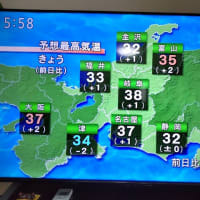 ７月７日鶴舞公園テニスコート