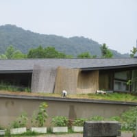 連れて行ってもらった　四季の郷公園　とても良かったです。
