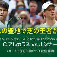 【2025】今宵勝利の女神はどちらに微笑むのか！？(WB男子ファイナル編)