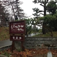 寒くなりました
