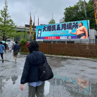 息子の怪我 　＆　５月場所　＆　卓球決勝